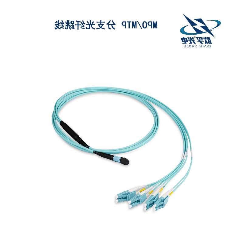 福建MPO/MTP 分支光纤跳线