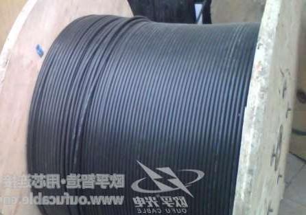 上海12芯GYXTW中心束管式光缆制作 欧孚GYXTW光缆特点