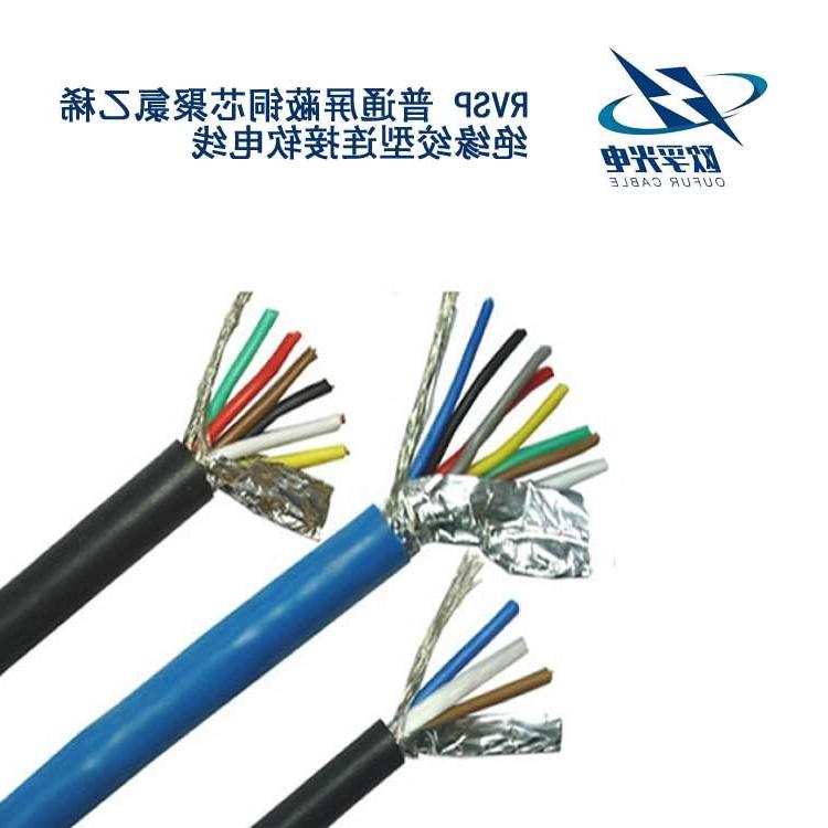江津区RVSP电缆